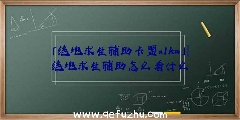 「绝地求生辅助卡盟x1km」|绝地求生辅助怎么看什么